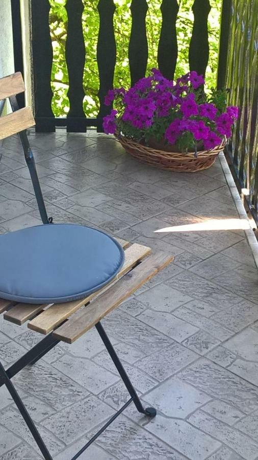 Apartman Ruzica Ogulin Buitenkant foto